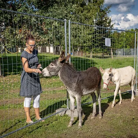 Statek Bernard Královské Poříčí